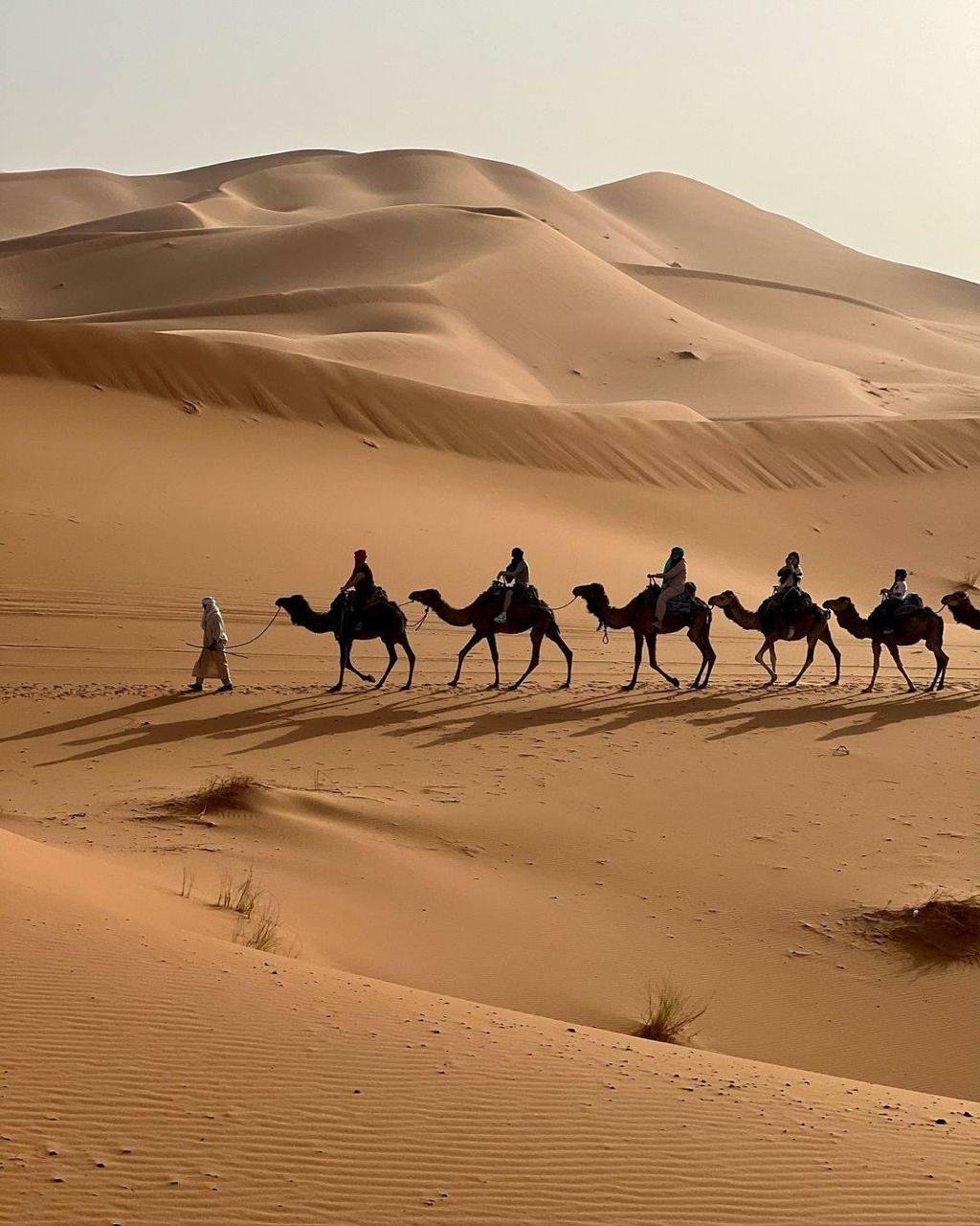 Marruecos: Tierra de colores y contrastes