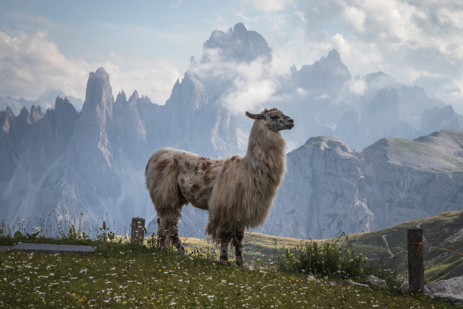 Perú: Aventura en Machu Picchu